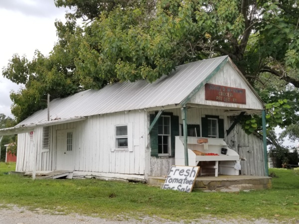 Pee-Dee-store