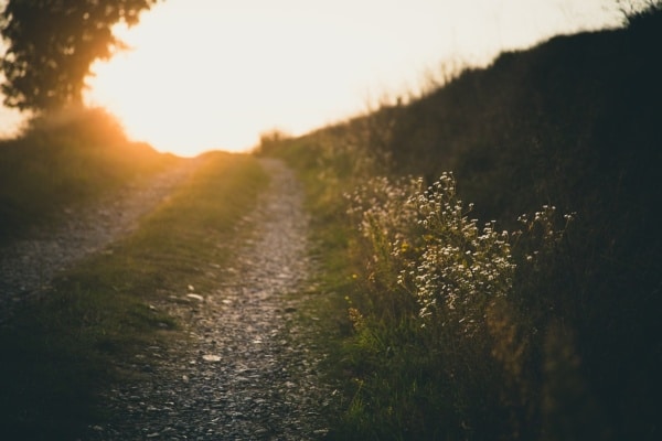 gravel driveway homegrown poems header