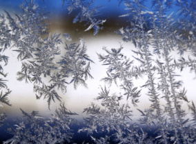Canva-Snowflake-Lot