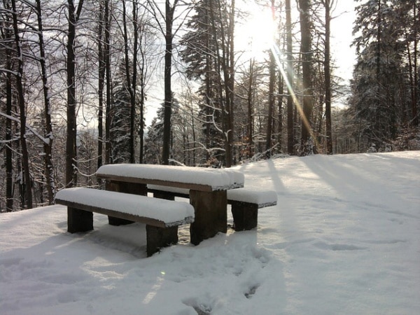 Christmas-picnic
