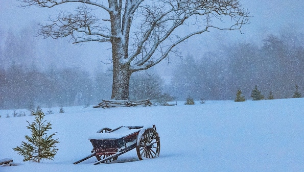 wagon in the snow