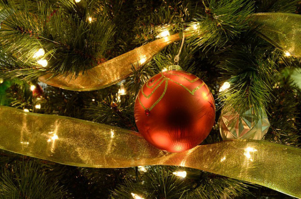 holiday-tree-1840737_640