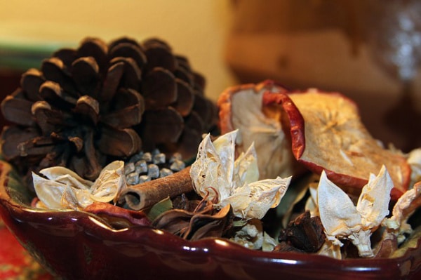 seasonal scents