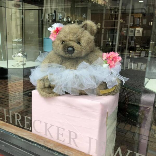 covid-bear-hunt-schreckers