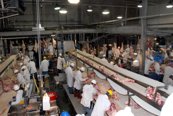 200417-meatpacking-slaughterhouse-workers-pandemic-coronavirus-covid-19-jbs-smithfield-3-usda-slaughterhouse