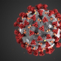 covid-19 virus