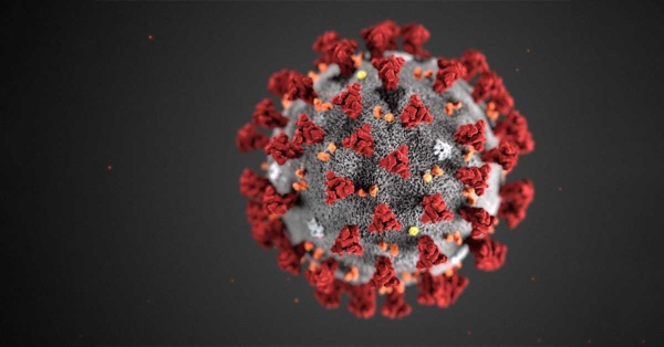covid-19 virus
