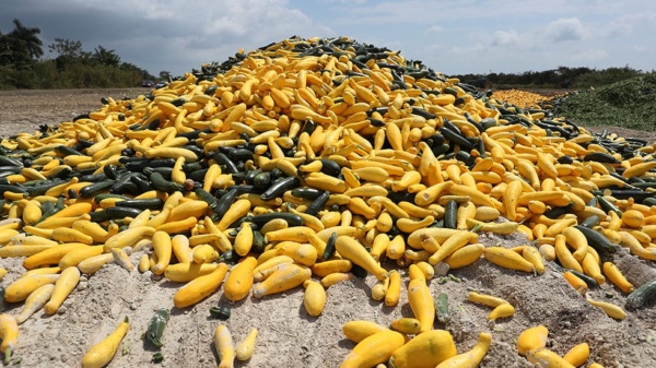 produce_fl_040120getty