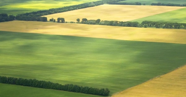 farm