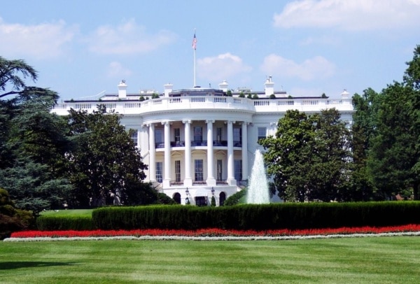white house canva