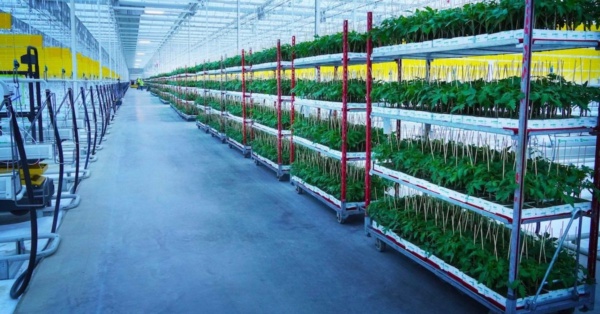 AppHarvest-Morehead-facility_featured