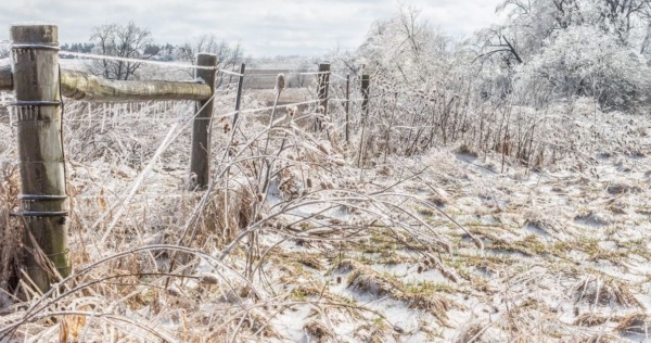 ice storm landscape feature