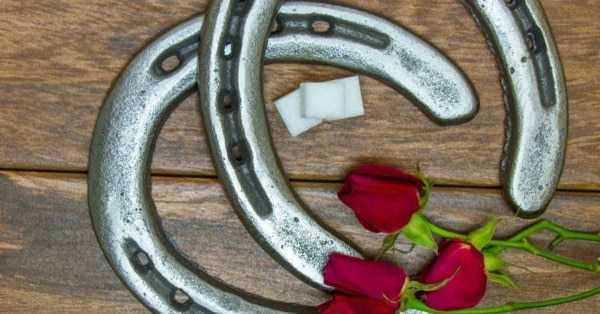 kentucky derby feature