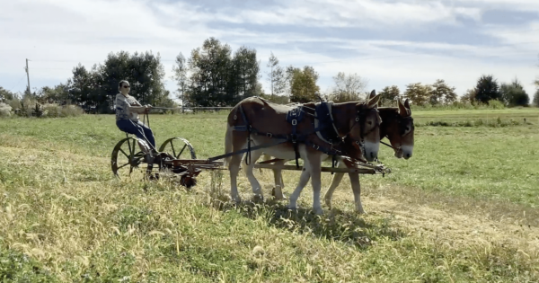 Wendell Berry Farm program feature