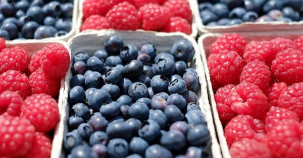 berries at farmers market