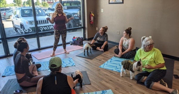 goat yoga classroom
