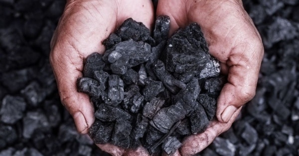coal feature