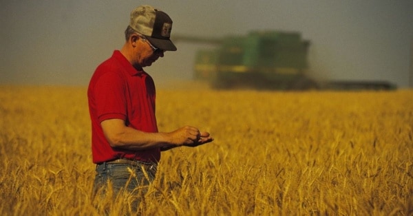 farmer in field feature