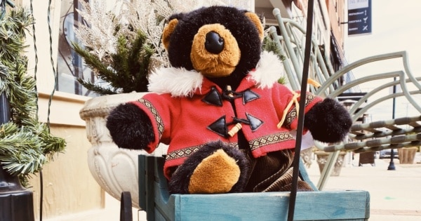 teddy-bear-sixth-street-feature