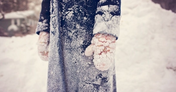 winter coat mittens feature