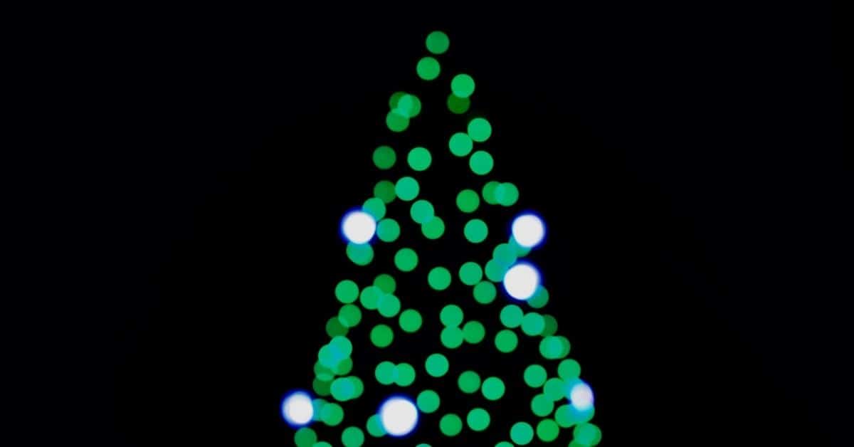 Christmas tree lights_1