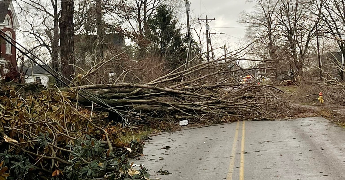 Trees lay across a road in Pembroke, one of the areas hit hardest by the storms. (Pembroke Fire Department photo)