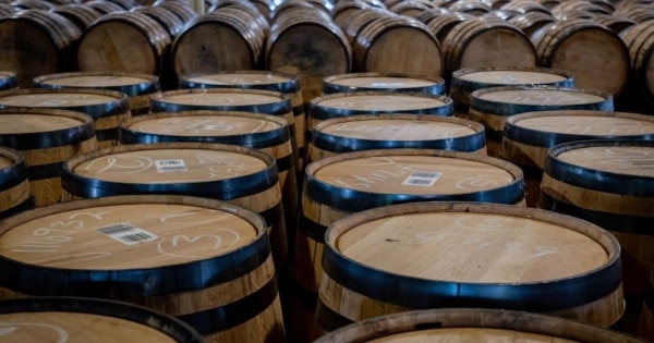 bourbon barrels
