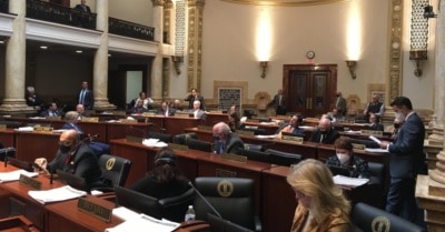 The Kentucky Senate during the General Assembly's 2022 regular session. (Photo by Stu Johnson, Kentucky Public Radio)
