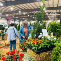 garden and outdoor living expo