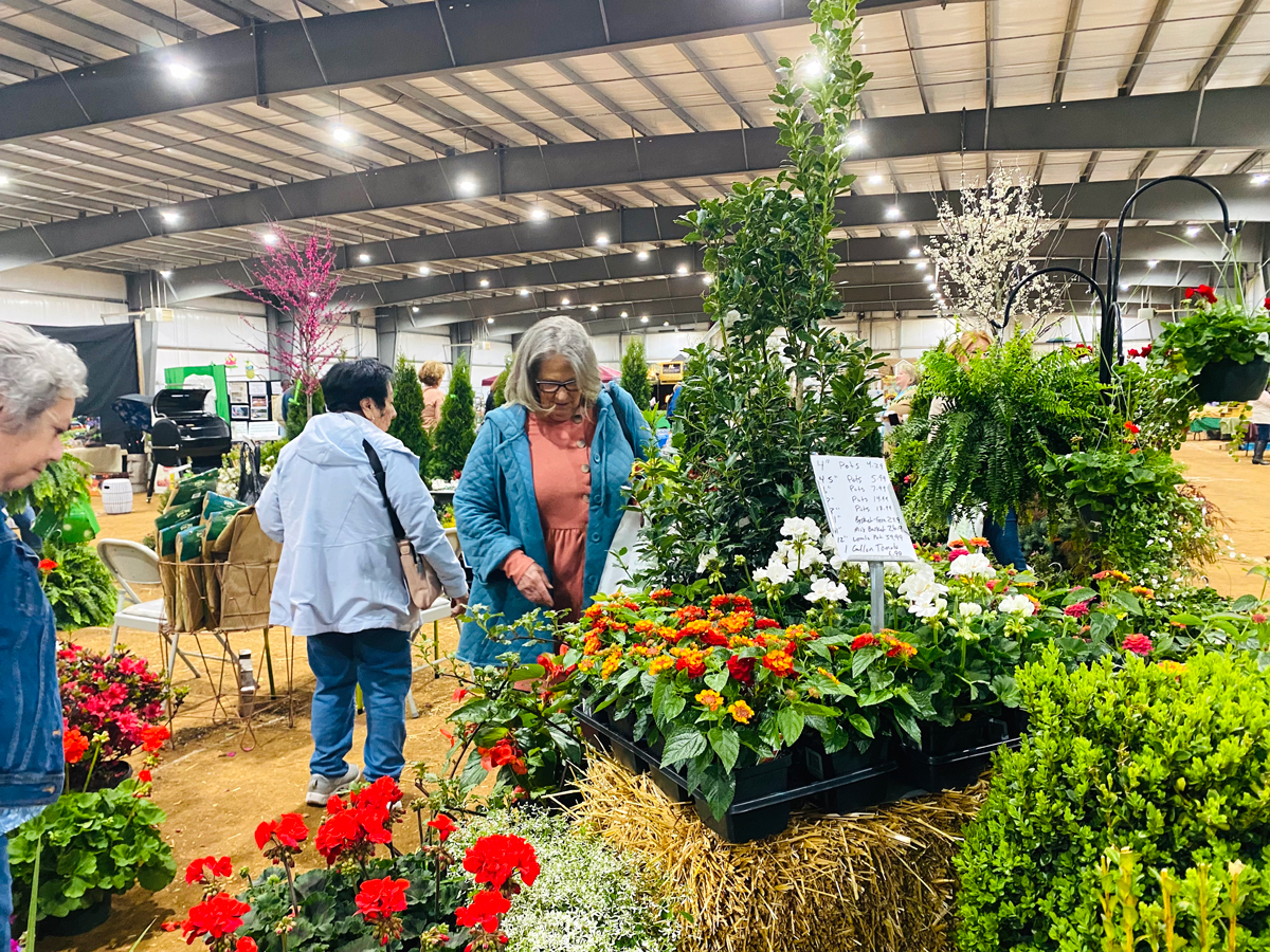 garden and outdoor living expo