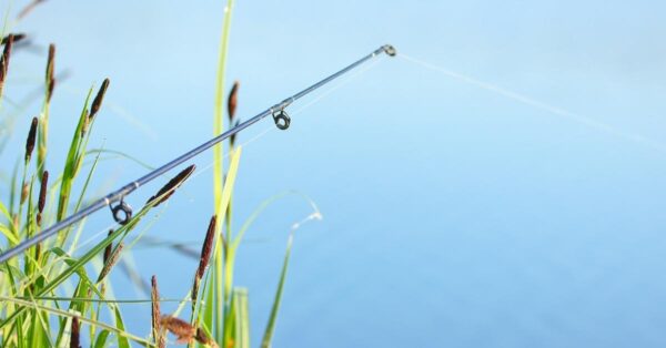 fishing pole feature
