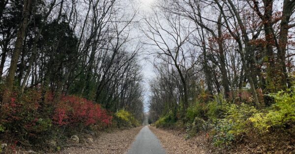 rail trail feature