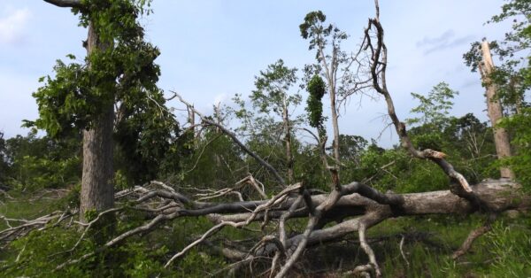 LBL tornado damage
