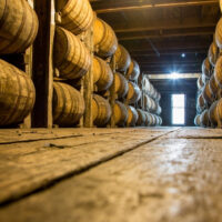 bourbon barrels in distillery