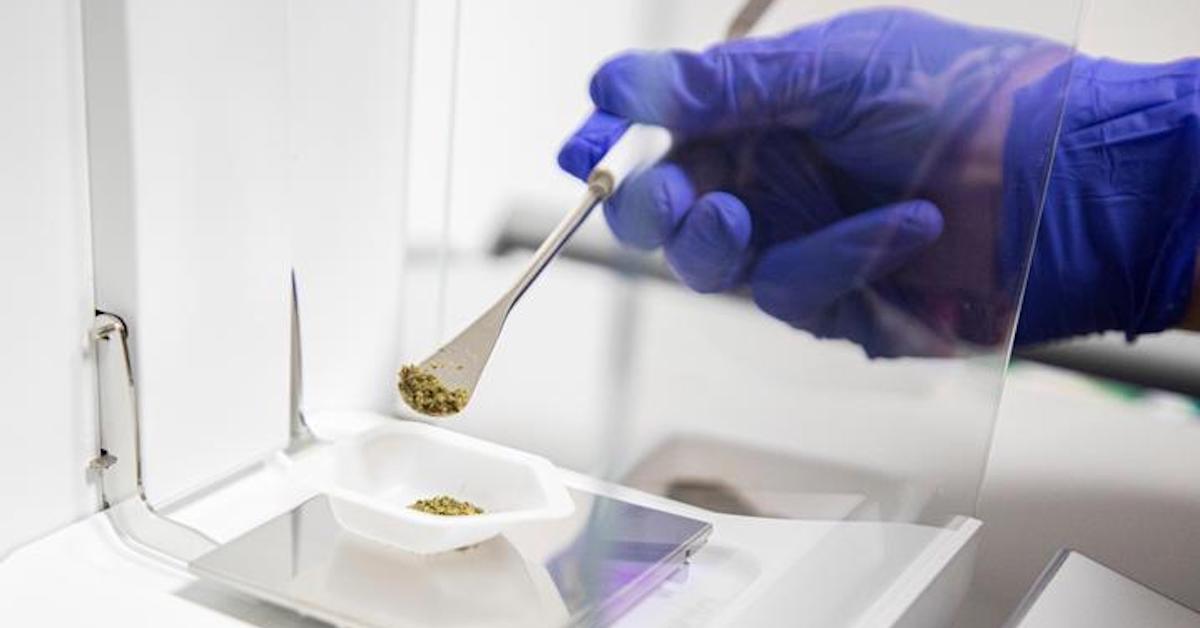 cannabis research lab