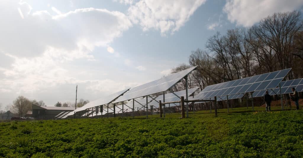 solar panels raised above farm