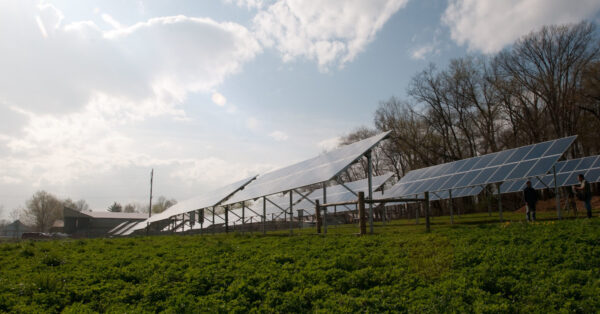 solar panels raised above farm