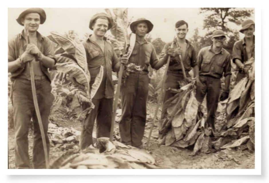 German POWs on Christian County tobacco farm