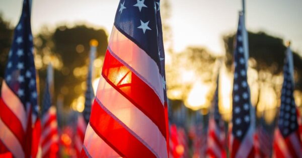american flags feature