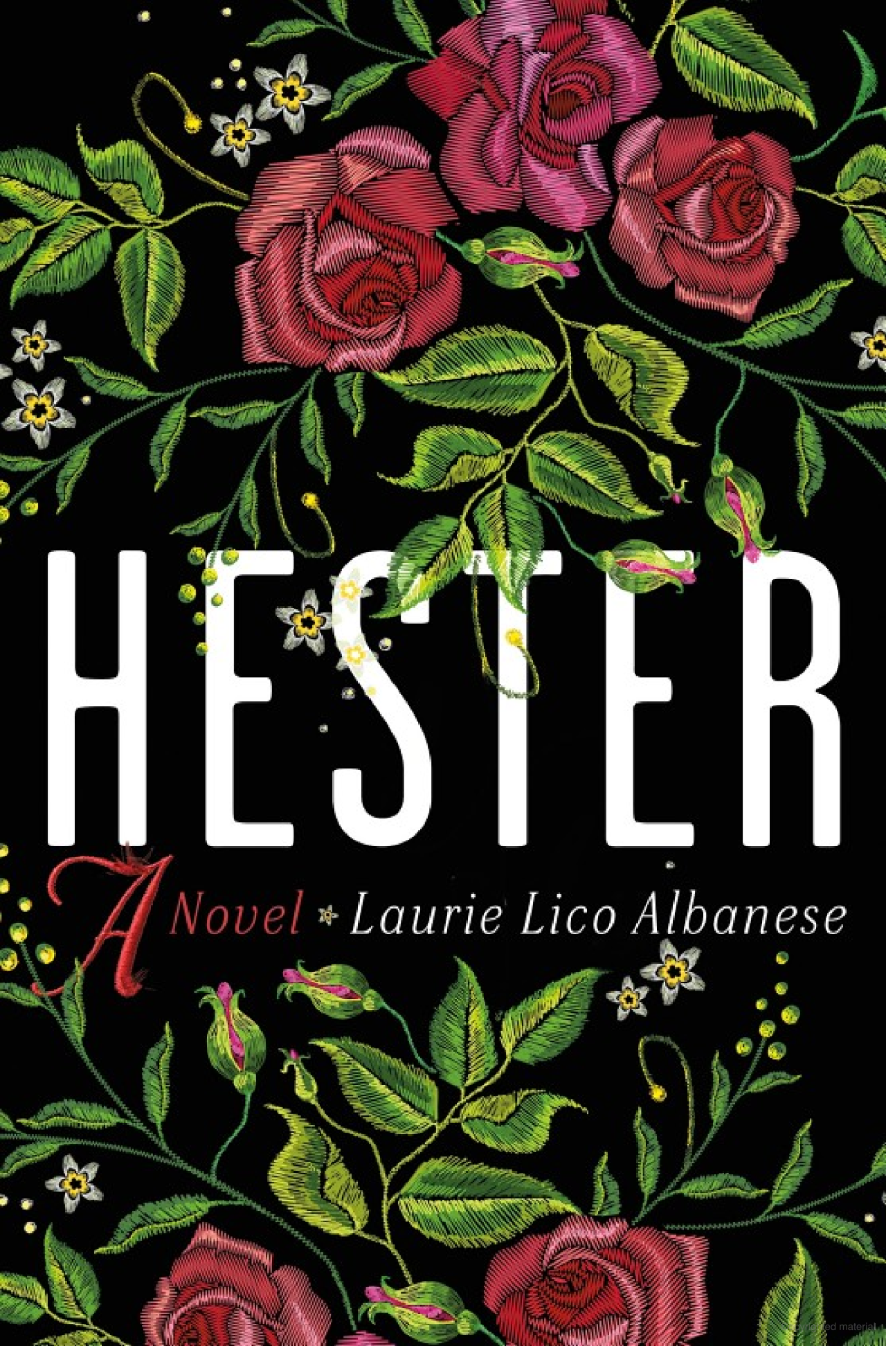 Novel imagines the inspiration behind Hester Prynne