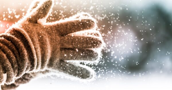 winter gloves feature