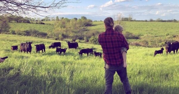 man and son watching cows