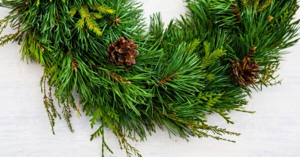 christmas wreath