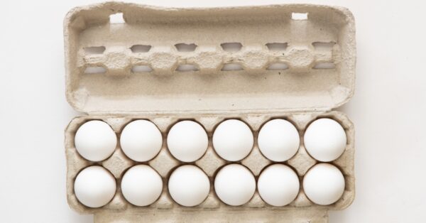 eggs