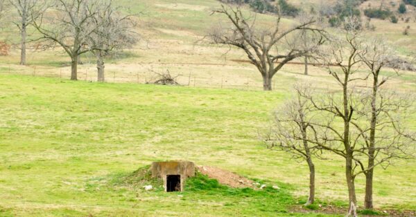storm shelter feature
