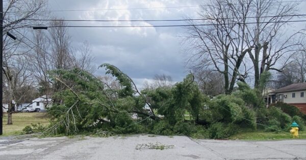 March 3 storm feature