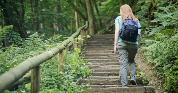 walking hiking woods
