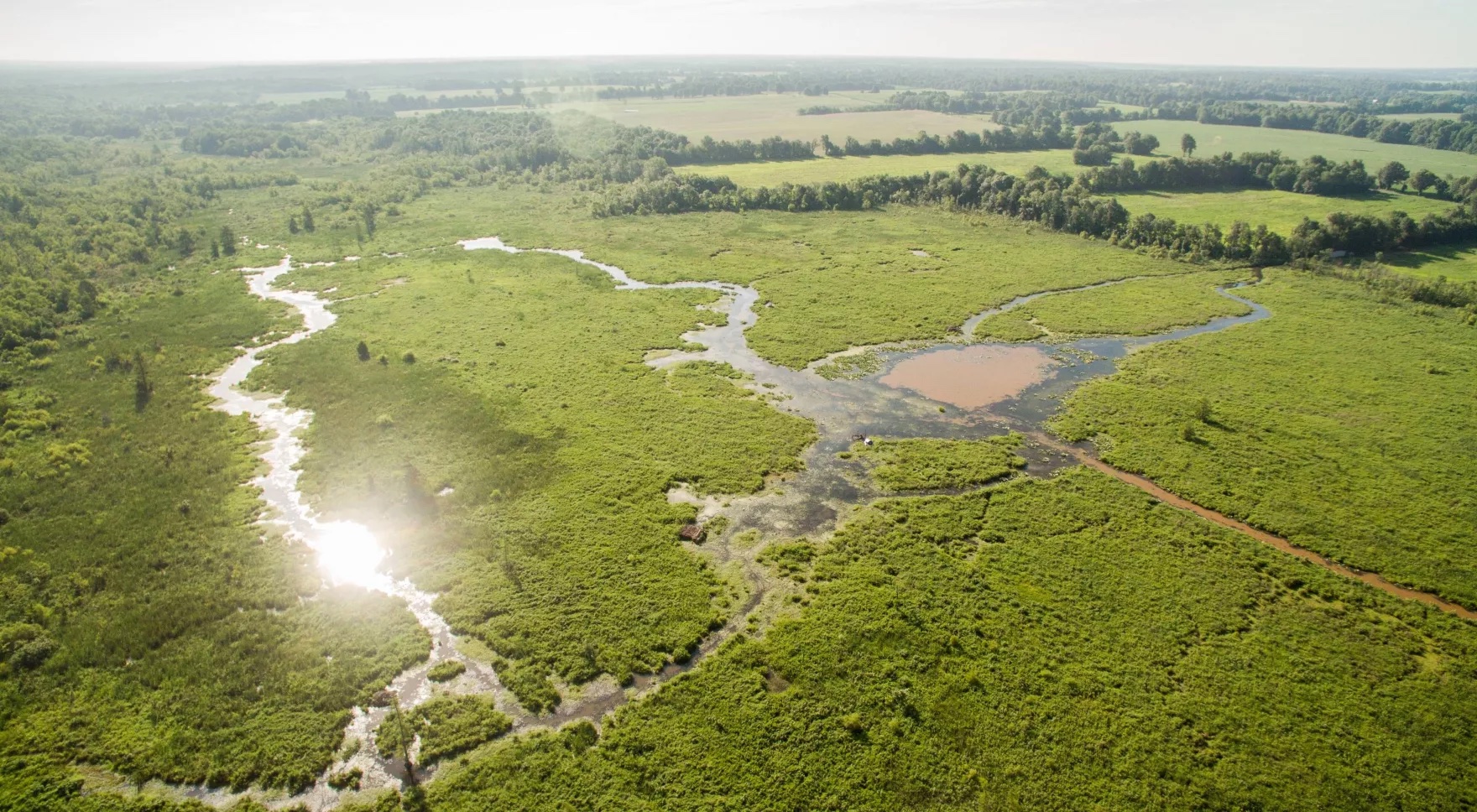 kentucky wetland lanscape