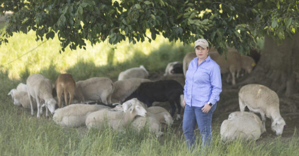 Sarah Jones farmer feature