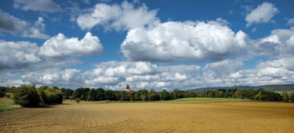 farmland